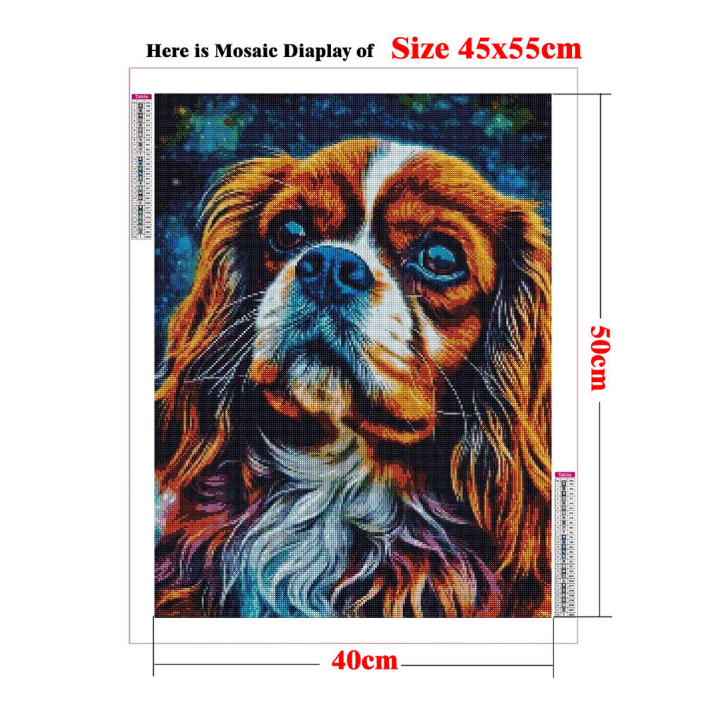 Kit Artistico 5D con Diamanti  - Resin Art Pouring recensione e prezzo